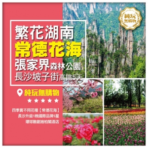 純玩【繁花湖南】常德花海 長沙坡子街 張家界國家森林公園 鳳凰古城 高鐵5天