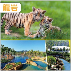 純玩 福建 生態梅花山·魅力虎園 華南虎的故鄉—中國虎園-連住兩晚五星龍岩天子國際溫泉度假村巴士3天