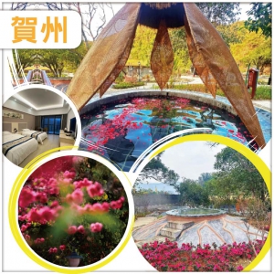 長壽密碼 賞花歎溫泉 任浸超級複合型溫泉 連住兩晚賀州溫泉森林度假酒店 茶是故鄉濃拍攝地 純玩3天