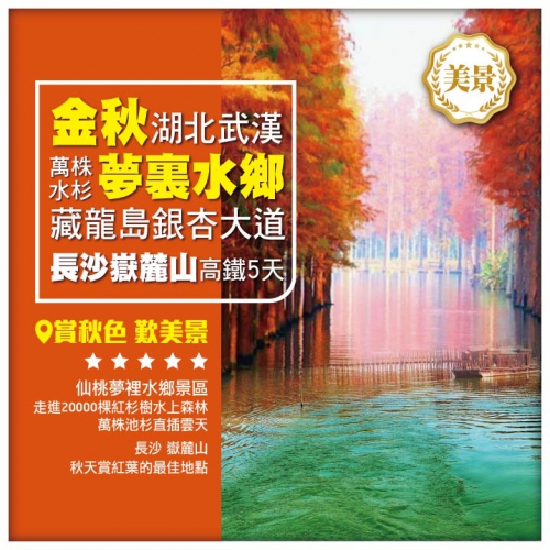 【金秋湖北】武漢 藏龍島銀杏大道 夢裏水鄉萬株水杉 洞庭秋色 美食打卡高鐵5天