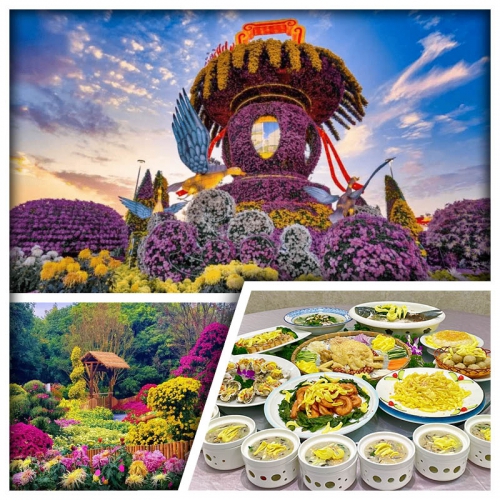 1年1度中山小欖菊展盛會 金玉滿堂秋菊御廚宴（位上遼參魚雲羹、五彩繽紛菊花撈雞）純玩1天