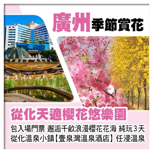 廣州從化天適櫻花悠樂園 邂逅千畝浪漫櫻花花海、從化溫泉小鎮【壹泉灣溫泉酒店】純玩3天