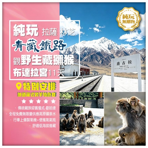 【青藏鐵路• 純玩西藏•拉薩 林芝 尼洋閣 藏東南】那木措 布達拉宮 卡定溝 全景11天