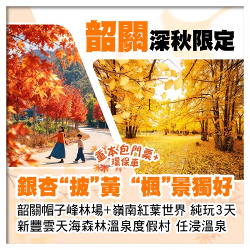 深秋限定 帽子峰銀杏林+嶺南紅葉世界楓葉 包門票+環保車 新豐雲天海森林溫泉度假村 純玩3天